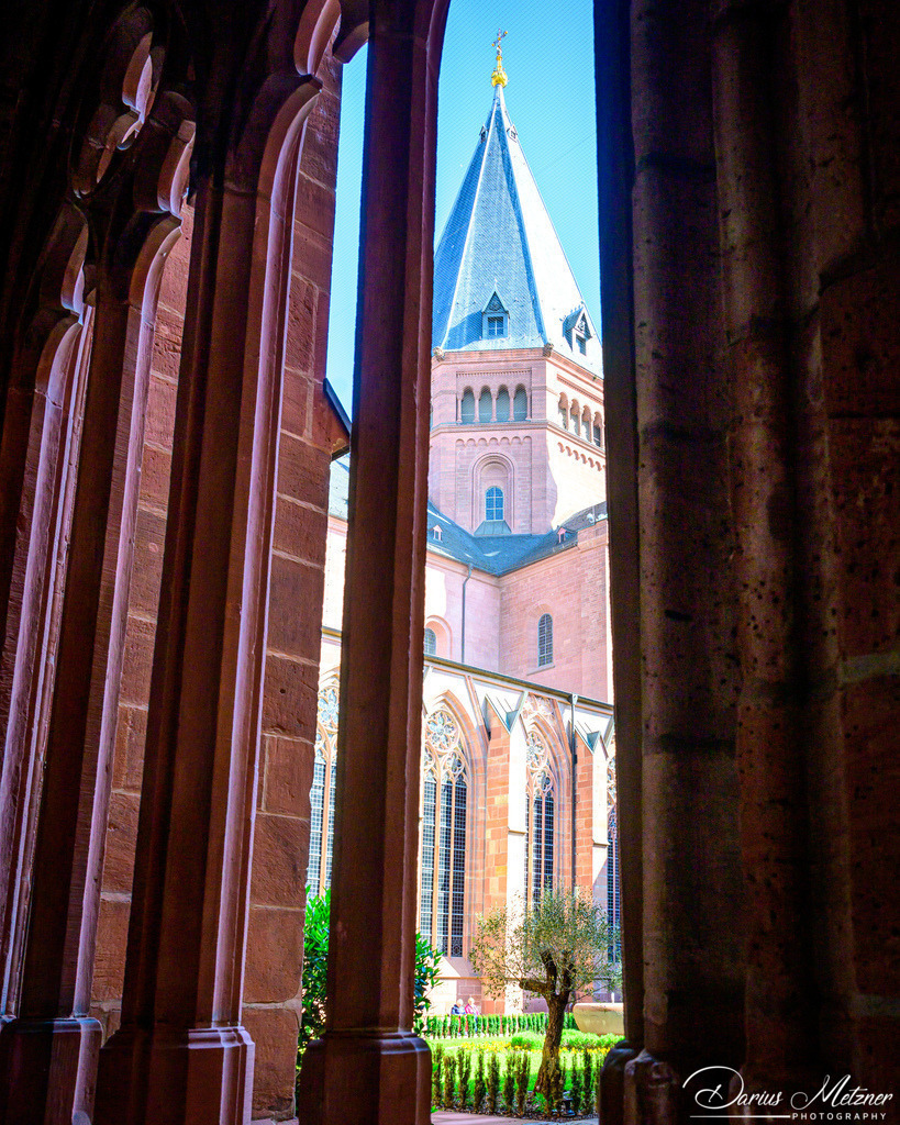 Der Mainzer Dom St Martin | Der hohe Dom St Martin zu Mainz