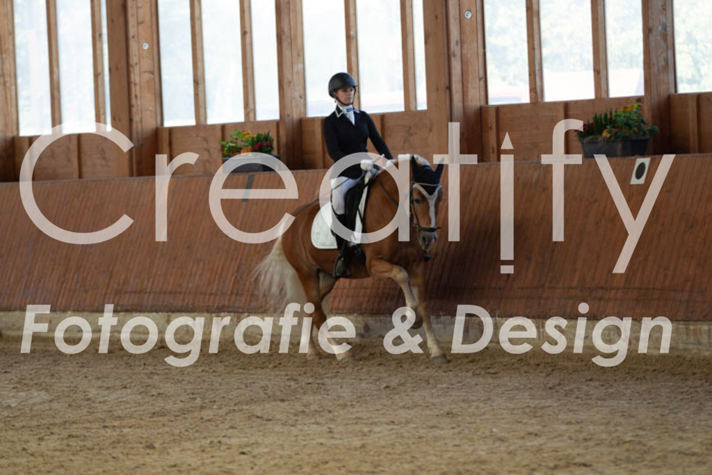 IMG_8227 | Creatify Fotografie