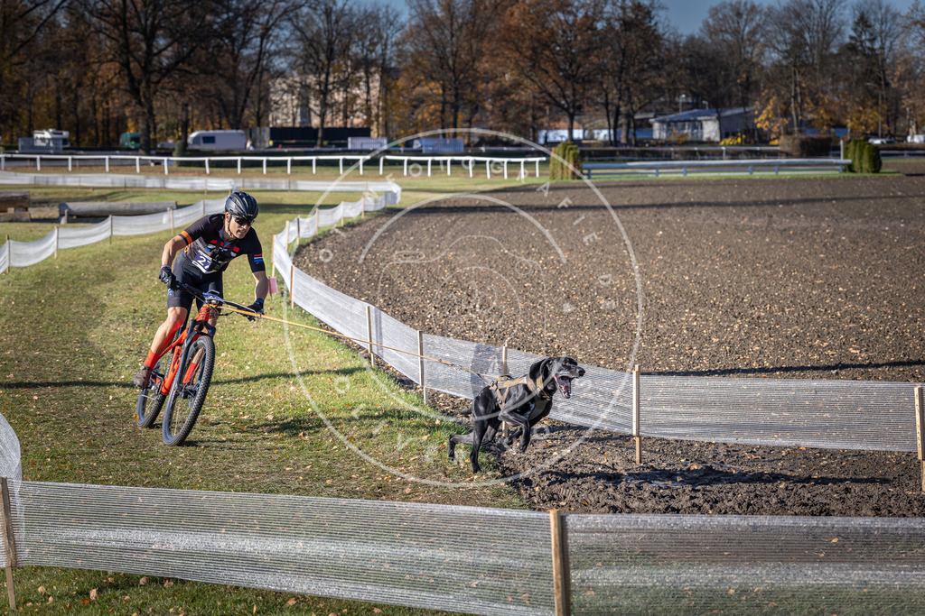 CaniXpix_DV3A5492 | Hundefotografie, Tierfotograf, Pfotenfotografie, Fotoshooting Hund, Hunde Portrait, Hundesport, Hundeportraits, Heideshooting, Hunde, Sportfotograf, Hundefotograf, Turnierhundsport, THS,  - Realisiert mit Pictrs.com