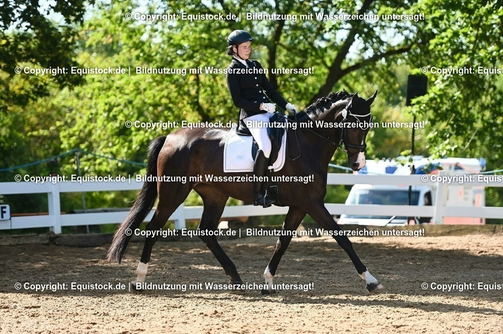 20230715_06_Dressurpferdeprfg. Kl.A_0363 | equistock