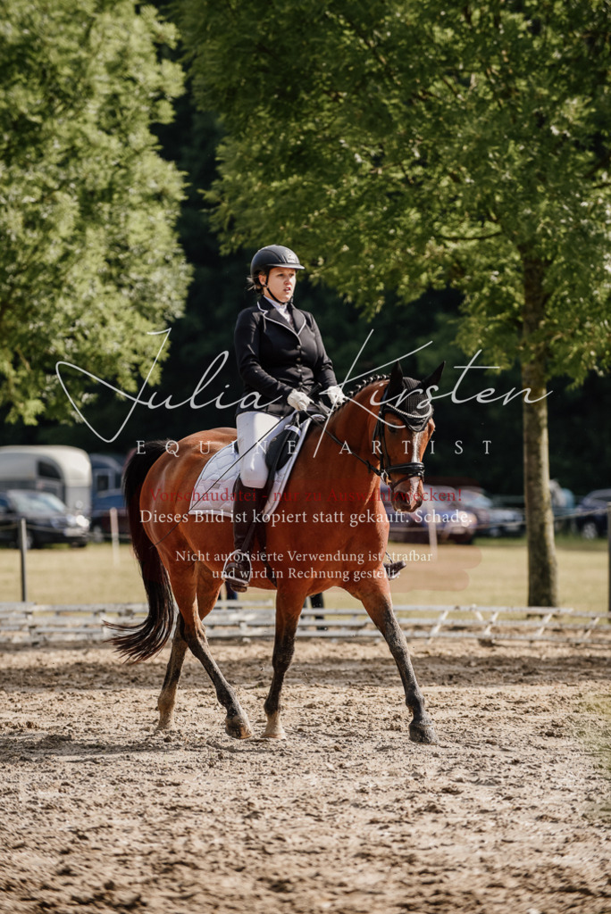 DSC_9078 | Pferde- und Turnierfotografie in Westsachsen. Pferdeportraits, Auftragszeichnungen und intuitive Kunst.