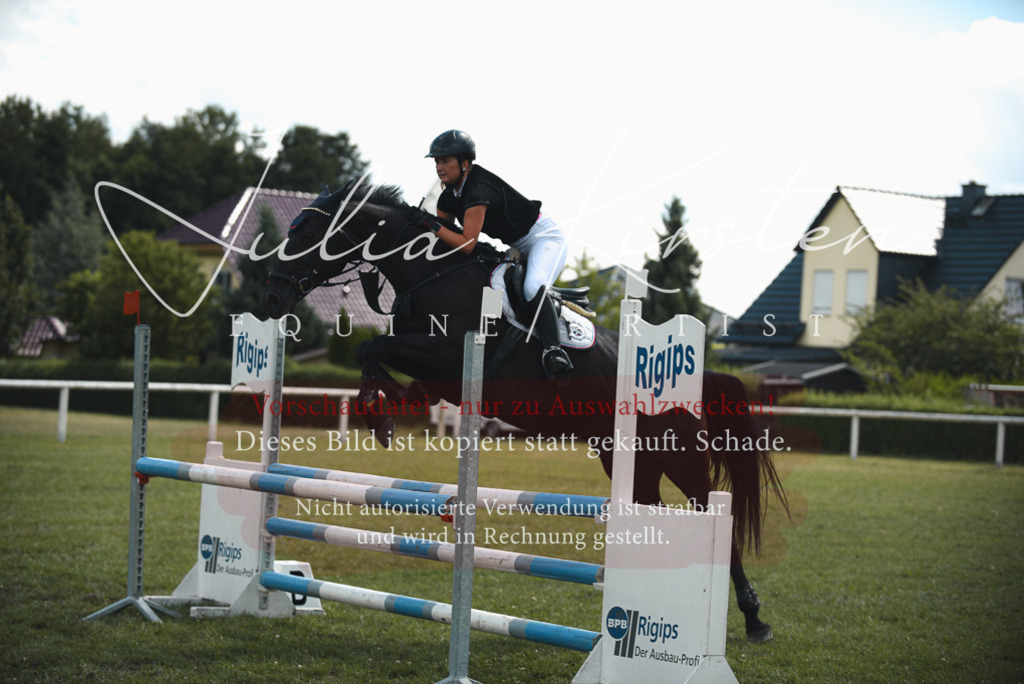 DSC_6687 | Pferde- und Turnierfotografie in Westsachsen. Pferdeportraits, Auftragszeichnungen und intuitive Kunst.