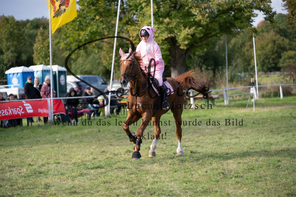 A7V06505 | Pferdefotograf