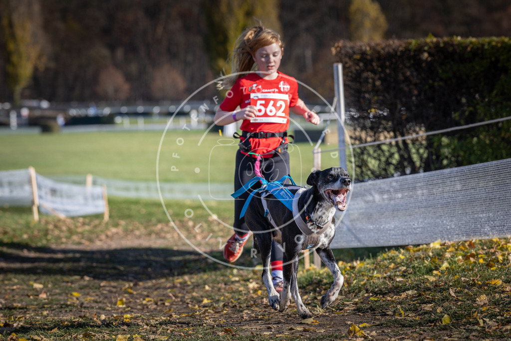 CaniXpix_DV3A8727 | Hundefotografie, Tierfotograf, Pfotenfotografie, Fotoshooting Hund, Hunde Portrait, Hundesport, Hundeportraits, Heideshooting, Hunde, Sportfotograf, Hundefotograf, Turnierhundsport, THS,  - Realisiert mit Pictrs.com