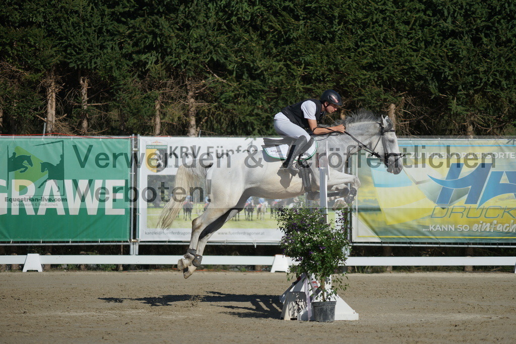 DSC01184 | equestrian-live-com