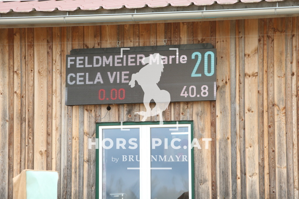 DL2Q1905 | Willkommen bei Brunnmayr - Design & Fotografie – Ihrem Spezialisten für Reitturniere und Pferdeveranstaltungen in Oberösterreich, Salzburg und Bayern! Seit über 17 Jahren sind wir leidenschaftlich dabei.