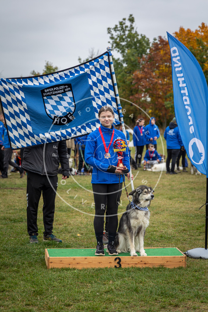 Pfotenfotografie_0L8A0515 | Hundefotografie, Tierfotograf, Pfotenfotografie, Fotoshooting Hund, Hunde Portrait, Hundesport, Hundeportraits, Heideshooting, Hunde, Sportfotograf, Hundefotograf, Turnierhundsport, THS,  - Realisiert mit Pictrs.com