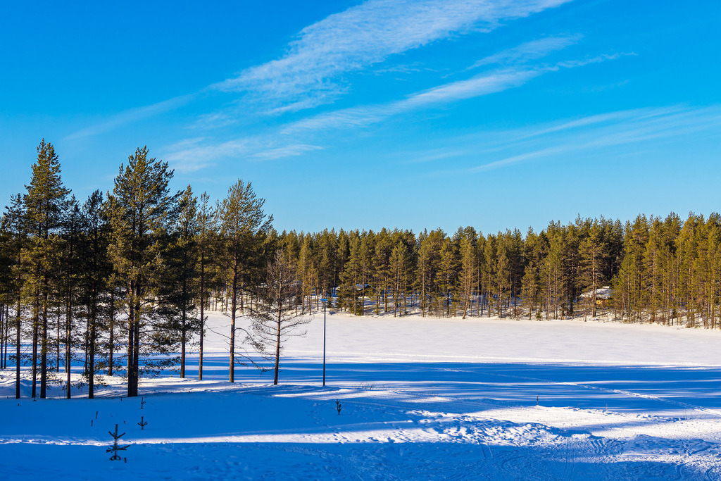 Landschaft mit Schnee und Bäumen im Winter in Kuusamo, Finnland | Landschaft mit Schnee und Bäumen im Winter in Kuusamo, Finnland.