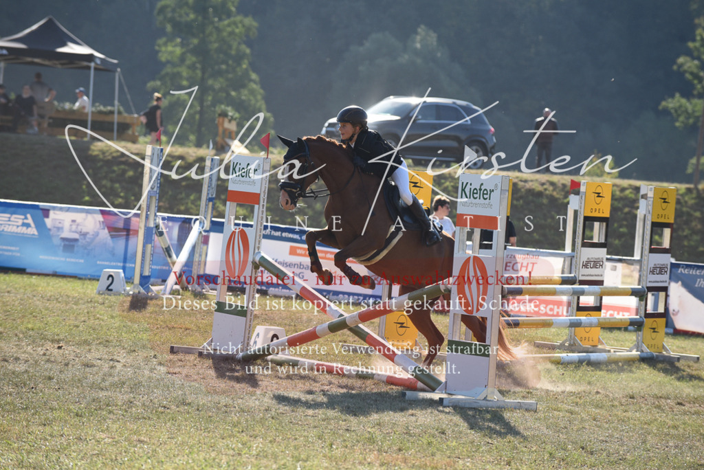 DSC_5695 | Pferde- und Turnierfotografie in Westsachsen. Pferdeportraits, Auftragszeichnungen und intuitive Kunst.