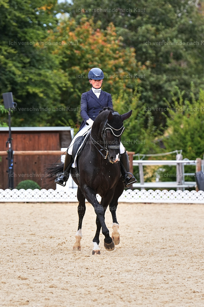 11-042-Dressur S___-StoibPH-1178 | working equitationturnier fotograf videograf stoibphotography marixx film working equitation deutschland reitsport turnierfotografie eventfotografie equestrian events