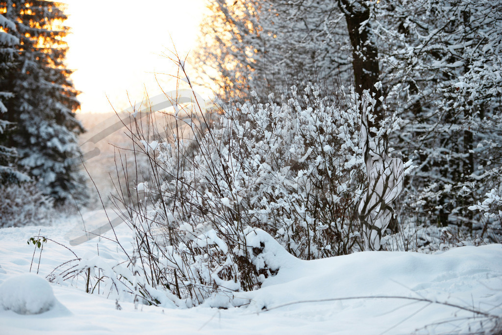 NatureArt-SNOWSOLLING_164159b | Schnee in der Abendsonne | #008 | Modell: Darky | Foto: Carsten Dauer - Realisiert mit Pictrs.com