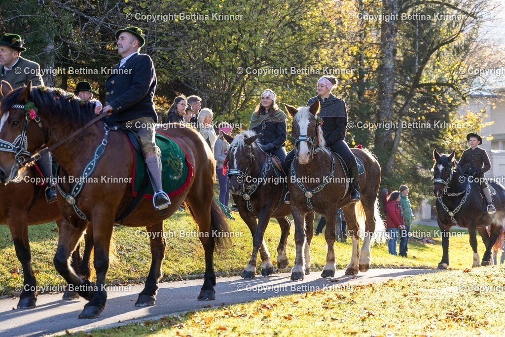 LL24-186 | foto-bettina-krinner - Realisiert mit Pictrs.com