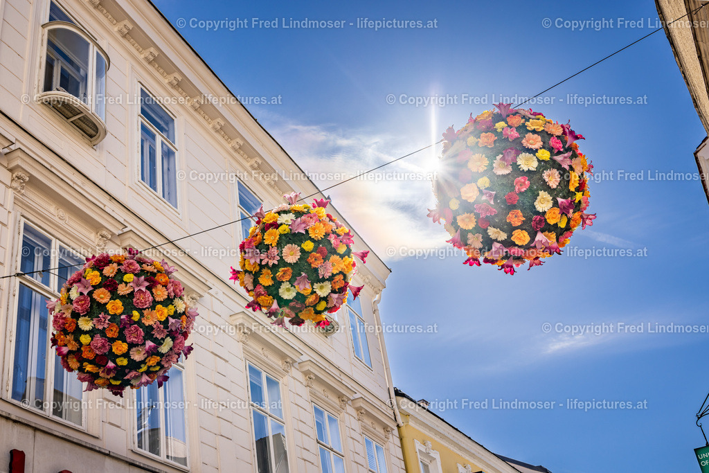 Krems an der Donau--2 | Fotos und Fotoprodukte - Realisiert mit Pictrs.com