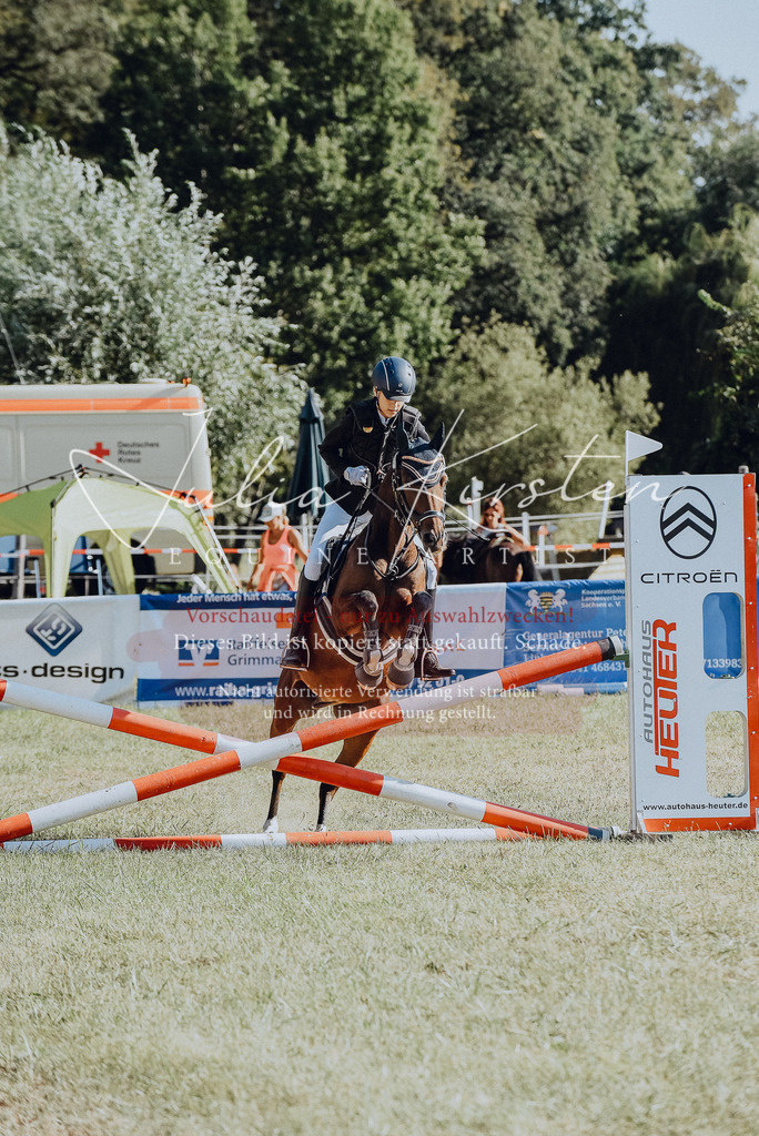 DSC_5814 | Pferde- und Turnierfotografie in Westsachsen. Pferdeportraits, Auftragszeichnungen und intuitive Kunst.