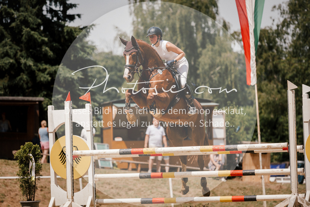 3I6A8068 | Stimmungsvolle Portraits und Reitsportfotografie im Ruhrgebiet und im Münsterland.

Pferdefotografie, Hundefotografie, Tierfotografie, Reportagen, Portraits von Tier und Mensch, Turnierfotografie in Bochum, Recklinghausen, Marl, Haltern am See, Dülmen.. - Realisiert mit Pictrs.com