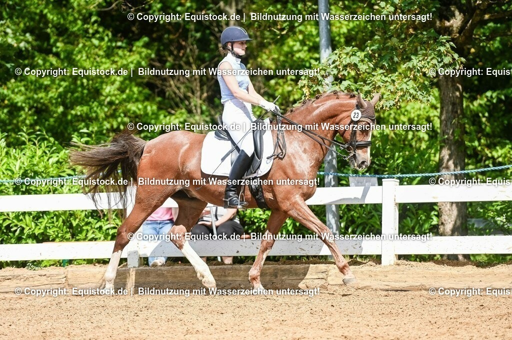 20230716_01_Dressurprüfung Kl.M_0241 | equistock