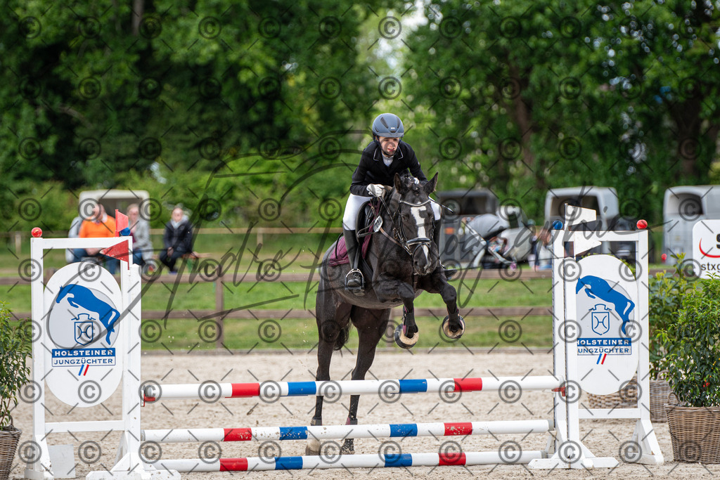 KPT_6197 | andre_photographic