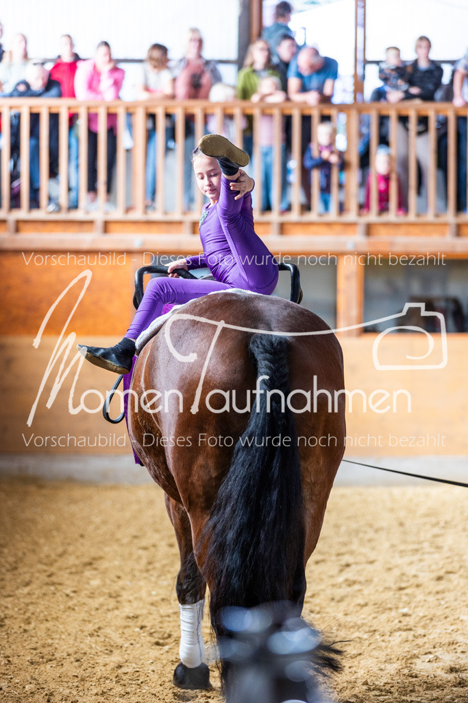 SS-Mini-252 | MomenTaufnahmen Pferdesportfotos