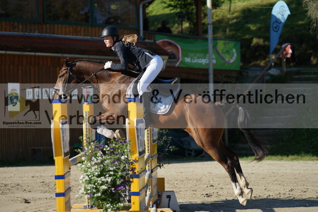 DSC02196 | equestrian-live-com