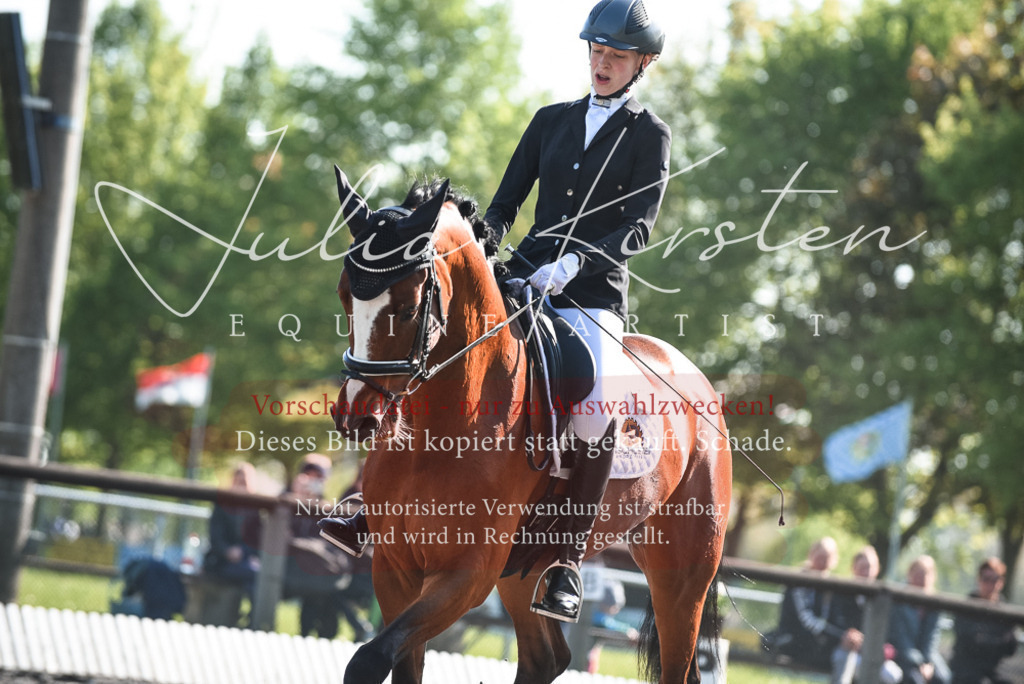DSC_8673 | Pferde- und Turnierfotografie in Westsachsen. Pferdeportraits, Auftragszeichnungen und intuitive Kunst.