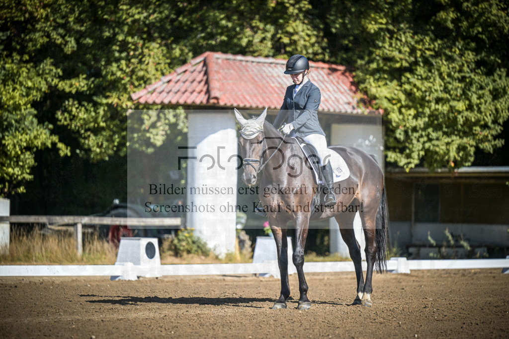 DOS_2364 | Entdecke hochwertige Reitturnierfotos von Foto Oger. Professionell, emotional und authentisch – jetzt Lieblingsmomente im Shop bestellen.Deutschlandweite Turnierfotografie. - Realisiert mit Pictrs.com