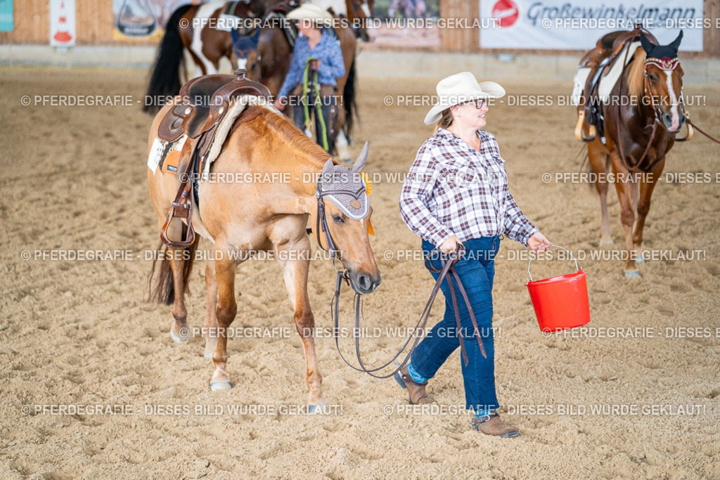 DSC02960 | Pferdegrafie