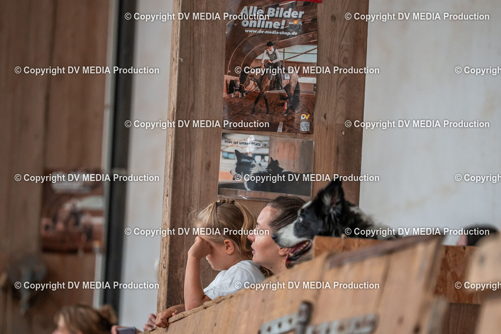 Neckargemünd Tag 2-376 | dv-media-shop - Realisiert mit Pictrs.com