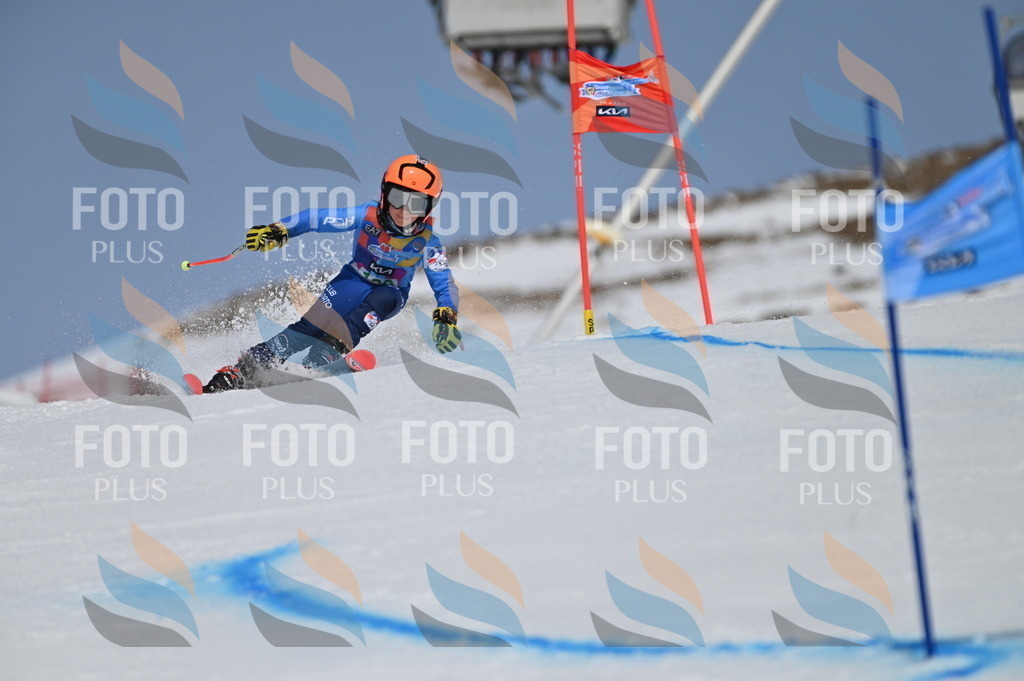 BGV_3330 | holidayphoto