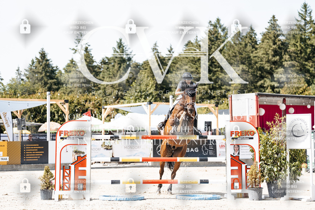 CK904912 | Turnierfotografie Pferdefotografie Trier Rheinland-Pfalz Pferdesport Reitsport Tierfotografie Sportfotografie Pferdevideo Pferdevideografie Equestrianvideography equestrianphotography  - Realisiert mit Pictrs.com