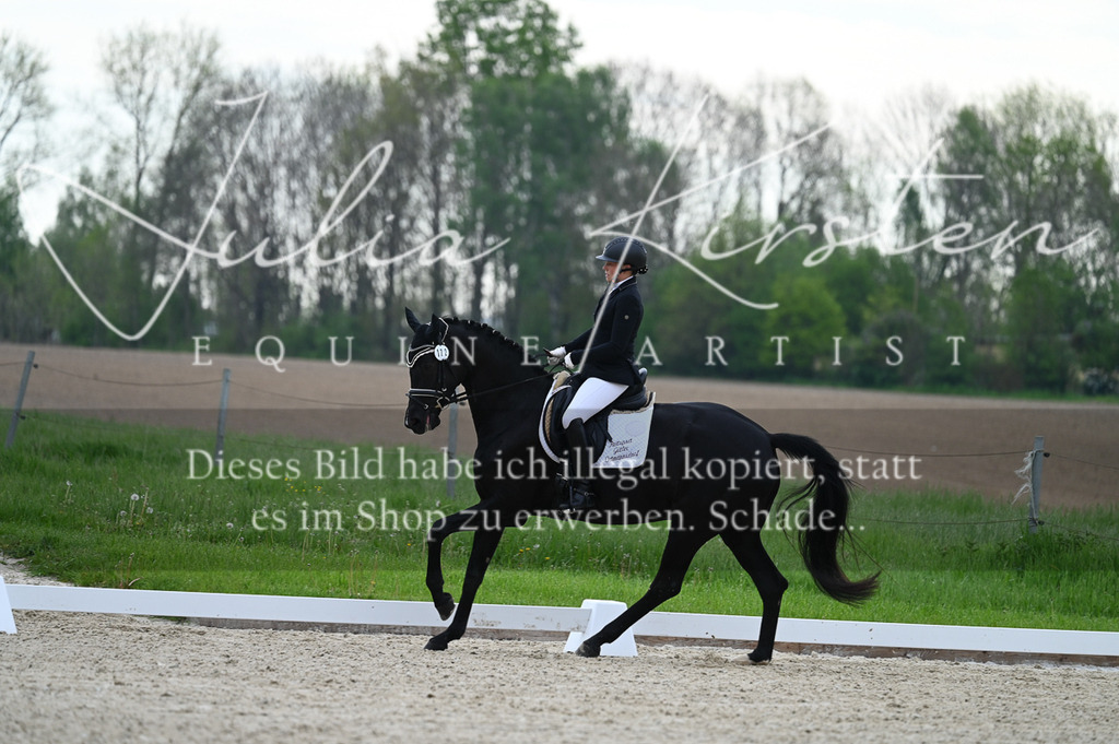 20230512_JK-Röhrsdorf-02-044 | Pferde- und Turnierfotografie in Westsachsen. Pferdeportraits, Auftragszeichnungen und intuitive Kunst.