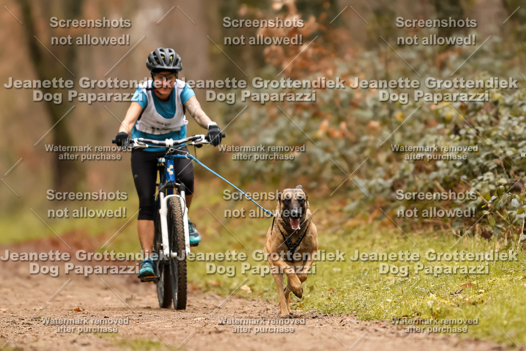 Dog Paparazzi - Speedhunter Mannheim  2025-317 | Dog Paparazzi Jeanette Grottendiek Fotografie & Videografie