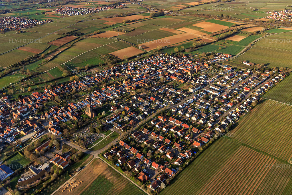 Luftbild: Ortsansicht von Nordosten in Essingen im Bundesland Rheinland-Pfalz in Deutschland. Foto: IMG_126370.jpg vom 04.04.2021 durch Werner Riehm/FLY-FOTO.de