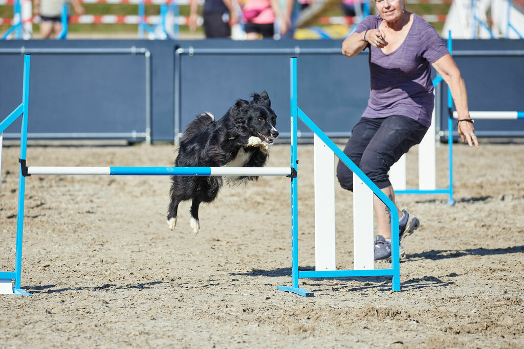 580A0169 | Peter Fridle Fotografie - Realisiert mit Pictrs.com