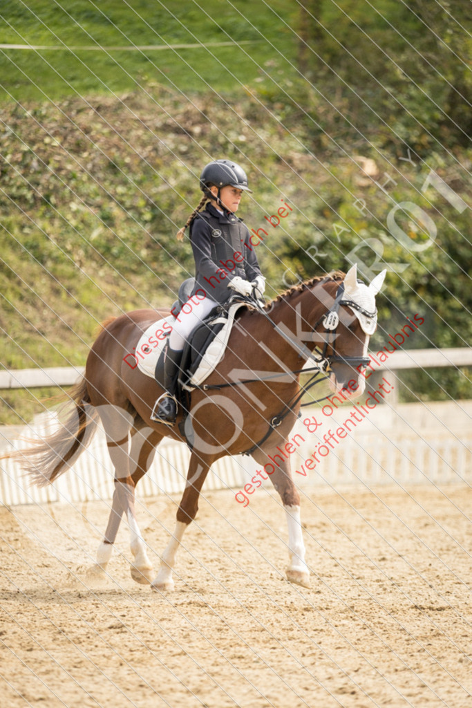 CON_0185 | Sport-, Event- und Tierfotos in Profiqualität. Einfach auswählen, bestellen und herunterladen. Dein Moment – perfekt festgehalten.