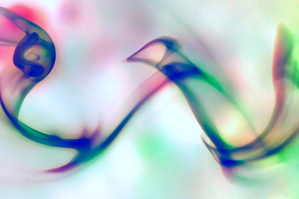 Milch-10 | In diesem Shop werden vorwiegend künstlerisch hochstehende Aufnahmen aus dem Bereich der Naturfotografie zum Verkauf angeboten. - In this store mainly artistic high quality shots from the field of nature photography are offered for sale. - Realisiert mit Pictrs.com