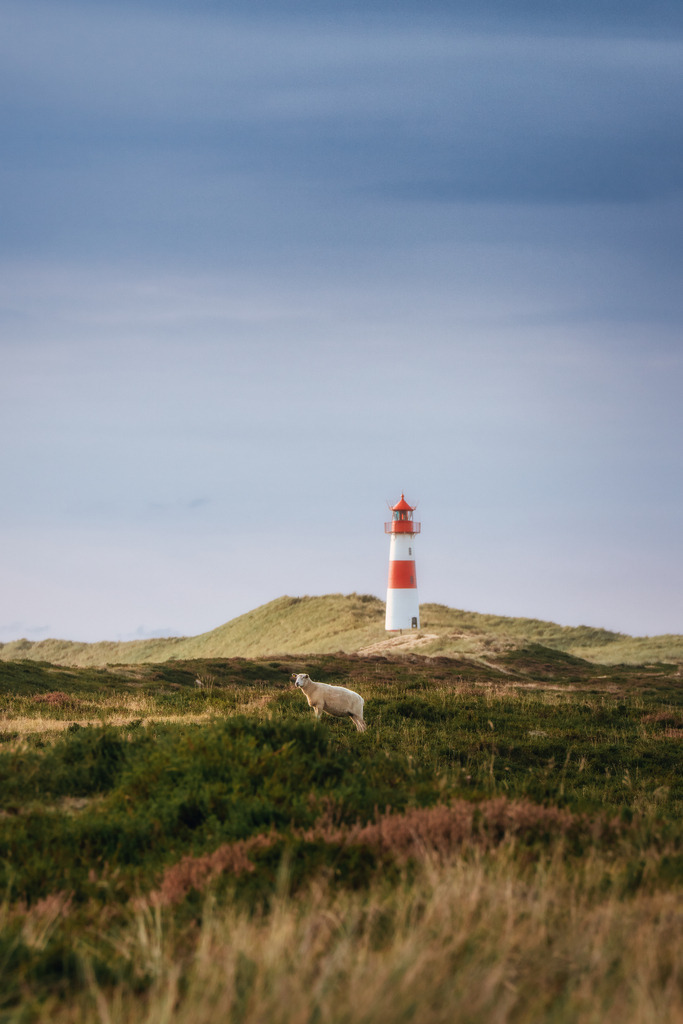List | Sylt im Abendlicht - Realisiert mit Pictrs.com