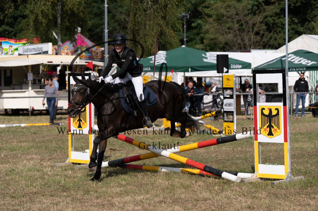 A7V08577 | Pferdefotograf