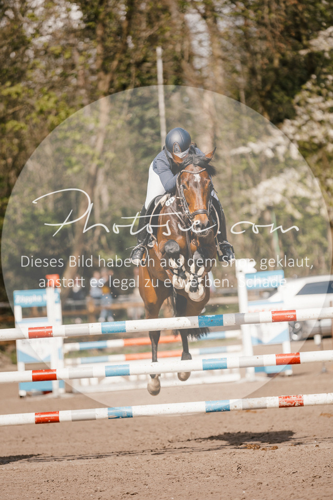 3I6A4125 | Stimmungsvolle Portraits und Reitsportfotografie im Ruhrgebiet und im Münsterland.

Pferdefotografie, Hundefotografie, Tierfotografie, Reportagen, Portraits von Tier und Mensch, Turnierfotografie in Bochum, Recklinghausen, Marl, Haltern am See, Dülmen.. - Realisiert mit Pictrs.com