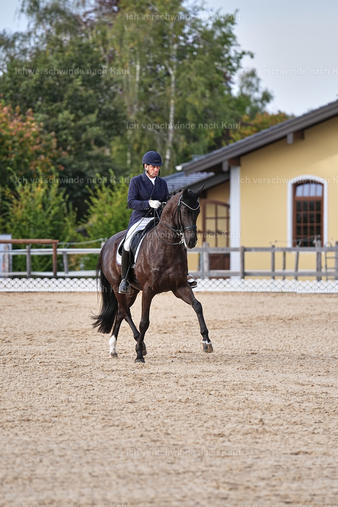 13-058-S___ -Marixx-7073 | working equitationturnier fotograf videograf stoibphotography marixx film working equitation deutschland reitsport turnierfotografie eventfotografie equestrian events