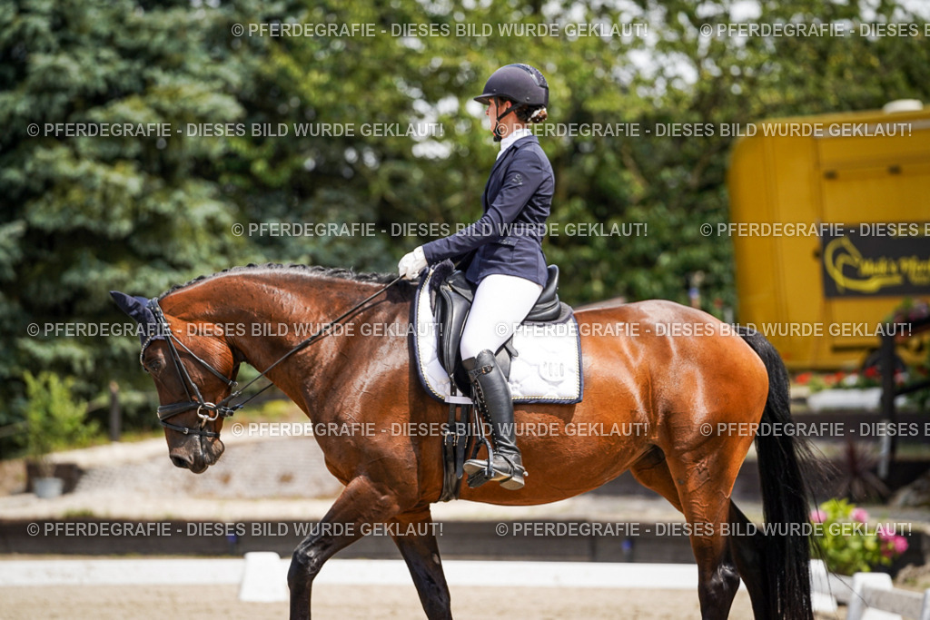 DSC02041 | Pferdegrafie