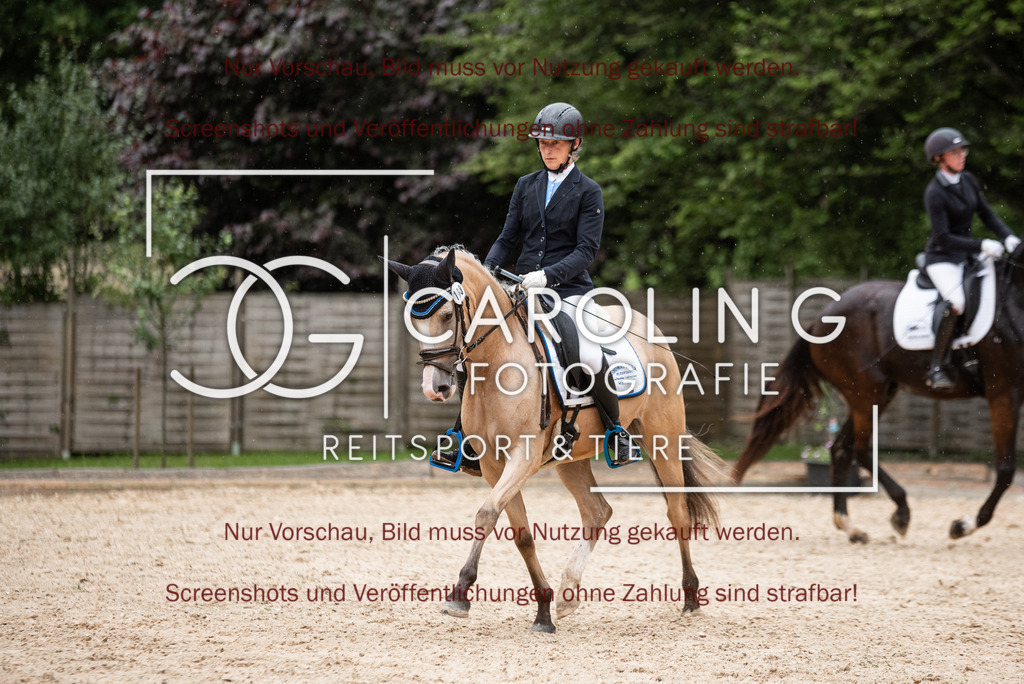 DSC_3173 | Turnierfotografin Carolin Gieschke,Reitsport Turnierfotografie Carolin G Fotografie | Turnierfotos aus Kirchheim/Teck, Esslingen, Stuttgart und dem Bodenseekreis