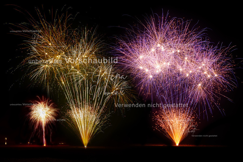 Collage  | Einzigartige Fotos von Hunden & Menschen –Actionfotos, Portraits, Vereinsaufnahmen & Paarshootings – authentisch, lebendig & mit Herz.