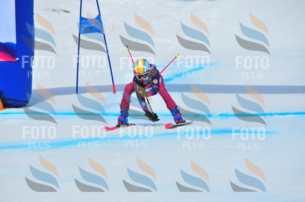 DSC_5550 | holidayphoto