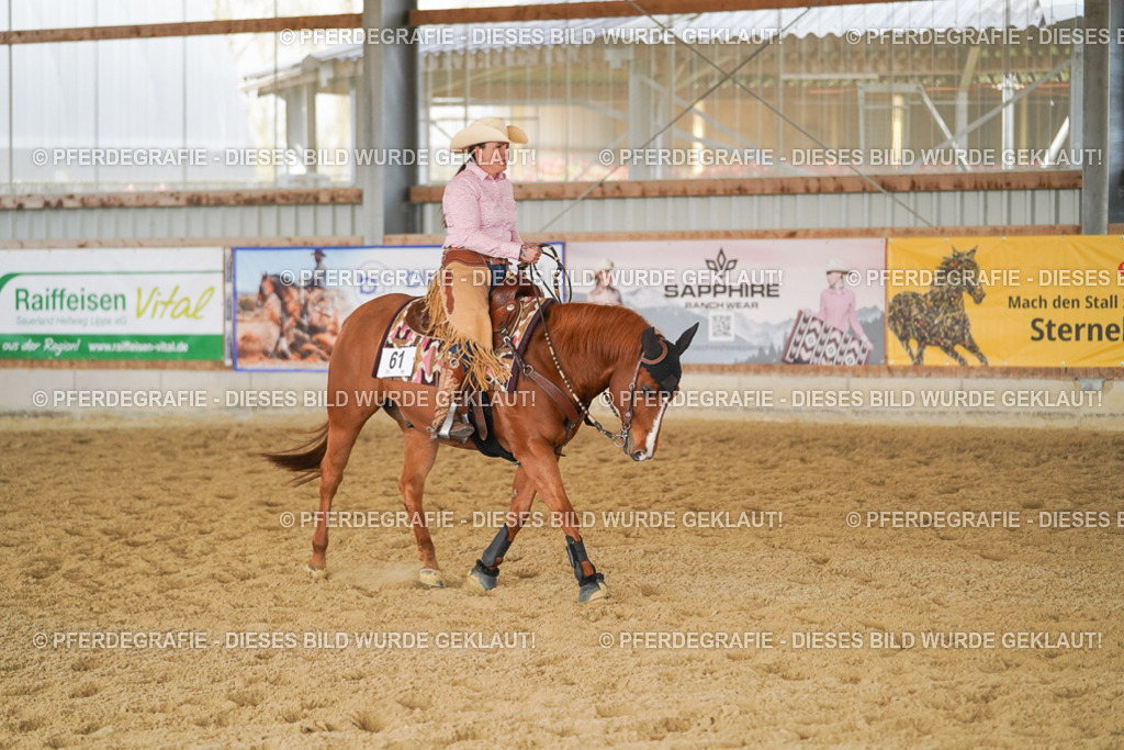 DSC02048 | Pferdegrafie