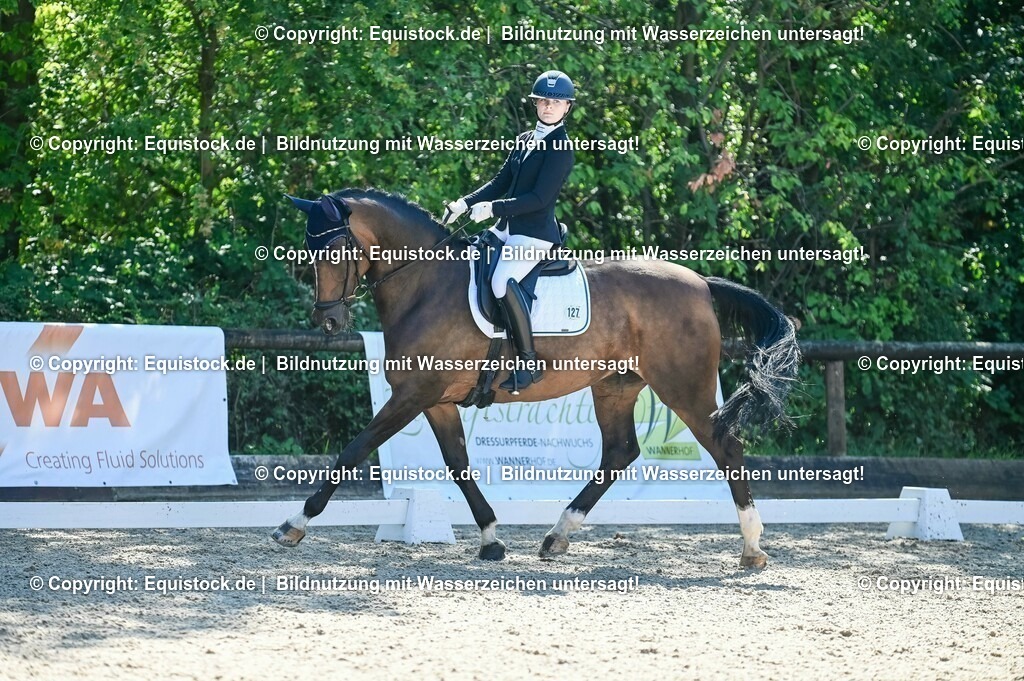 20230908_06_Dressur-L-Trense_0418 | equistock