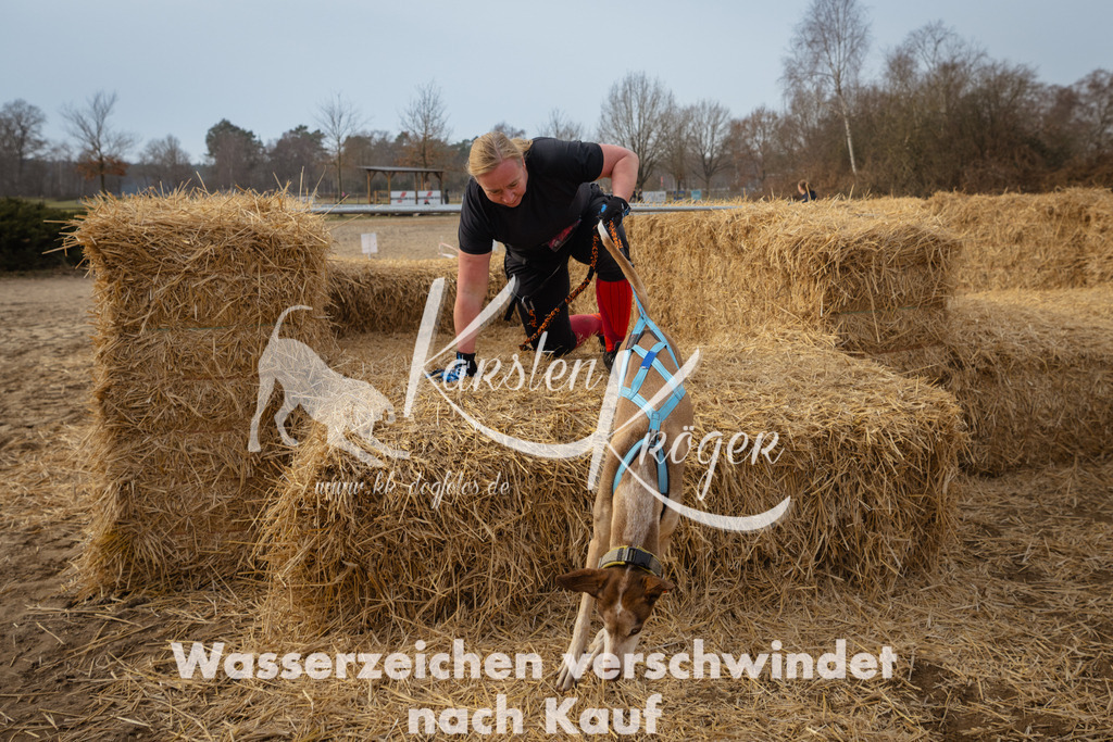 1036_ZZ96761 | kk-dogfotos