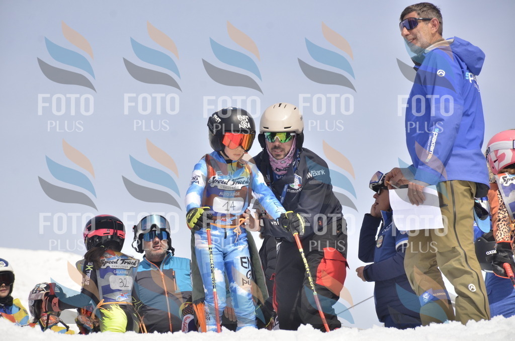 _ELE8611 | holidayphoto