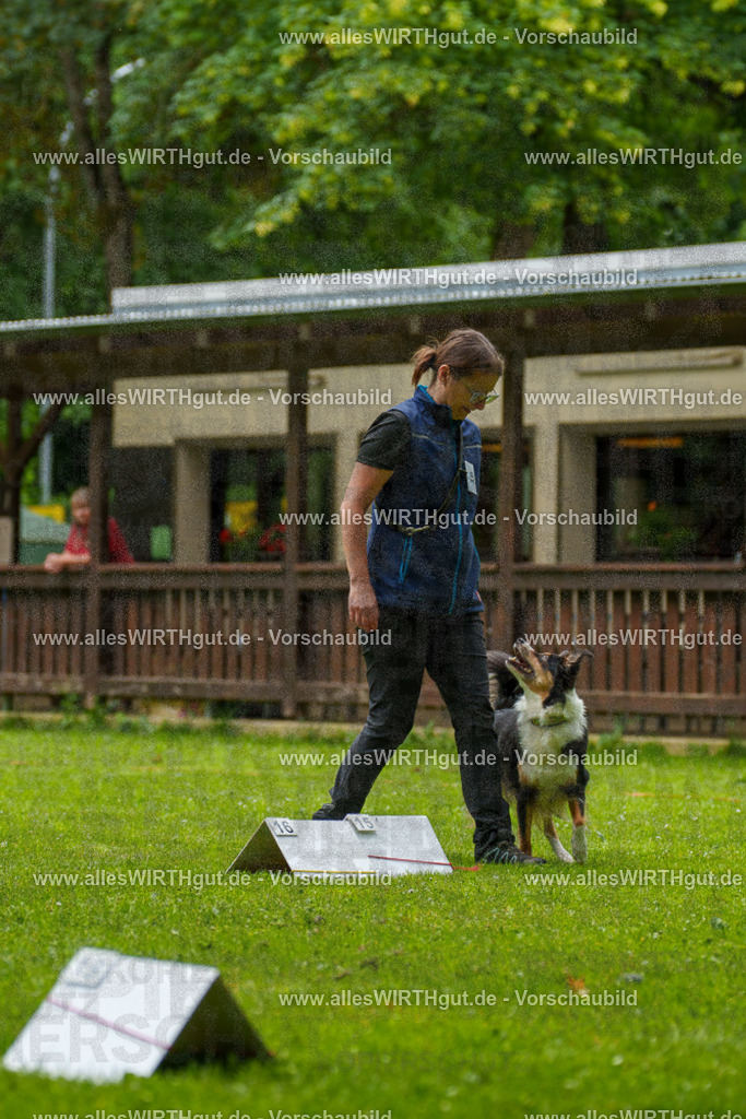 @allesWIRTHgut_Tierfotografie - www.allesWIRTHgut.de - 091912-7R506933 | Professionelle Tierfotografie in Mönchengladbach von Daniel Wirth (allesWIRTHgut). Liebevolle & natürliche Bilder von Hunden & Katzen für unvergessliche Erinnerungen.