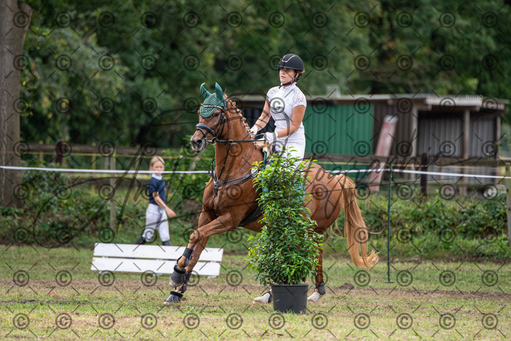 SHT_7536 | andre_photographic