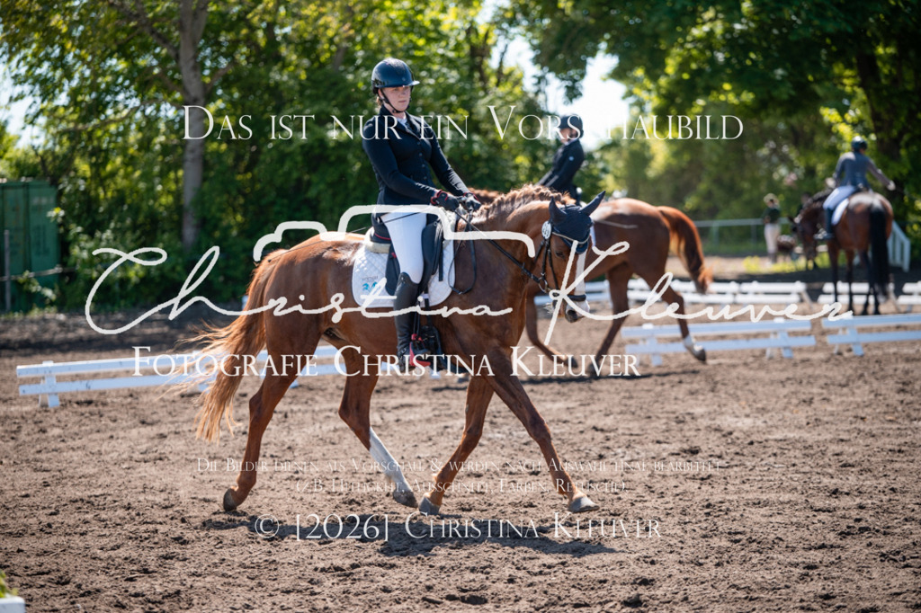 DSC_5353 | Christina-Kleuver
